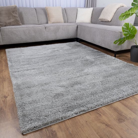 Eenkleurig Vloerkleed Woonkamer Slaapkamer - Knus Kortpolig Tapijt Grijs 160x230 Cm - Zacht En Praktisch