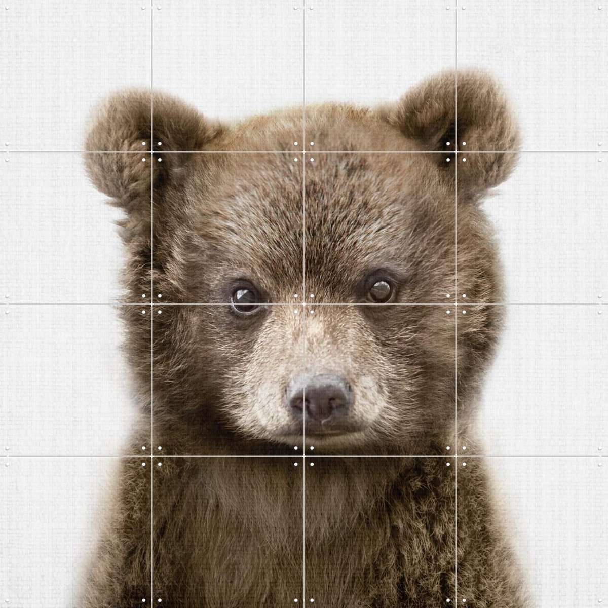 IXXI Print 353 Bear, Lila + Lola - 80 x 80 cm - Gratis ophangtool - Grote wanddecoratie en posters - Realisme, Fotografie, Babykamer, Woonkamer