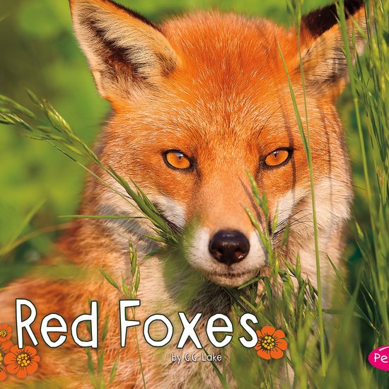Red Foxes - cover