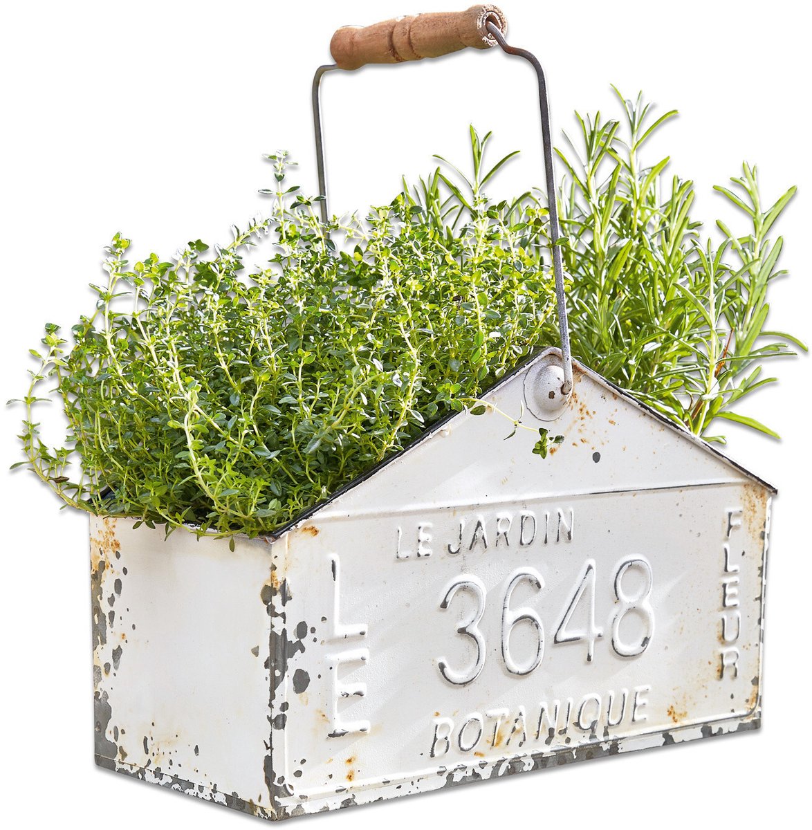 LOBERON Mand Botanique antiekwit