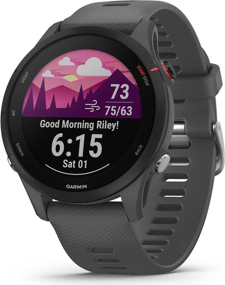 Garmin Forerunner 255 - Global versie - Sporthorloge met GPS - 46mm - Slate Grey