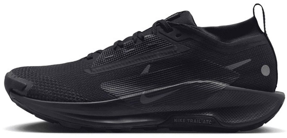 Nike Pegasus Trail 5 GTX GORE-TEX Heren Trail-Running schoenen Hardloopschoenen FQ0908-002 Zwart