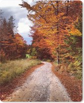 Muismat - Mousepad - Herfst - Herfstbladeren - Pad - Bos - 19x23 cm - Muismatten