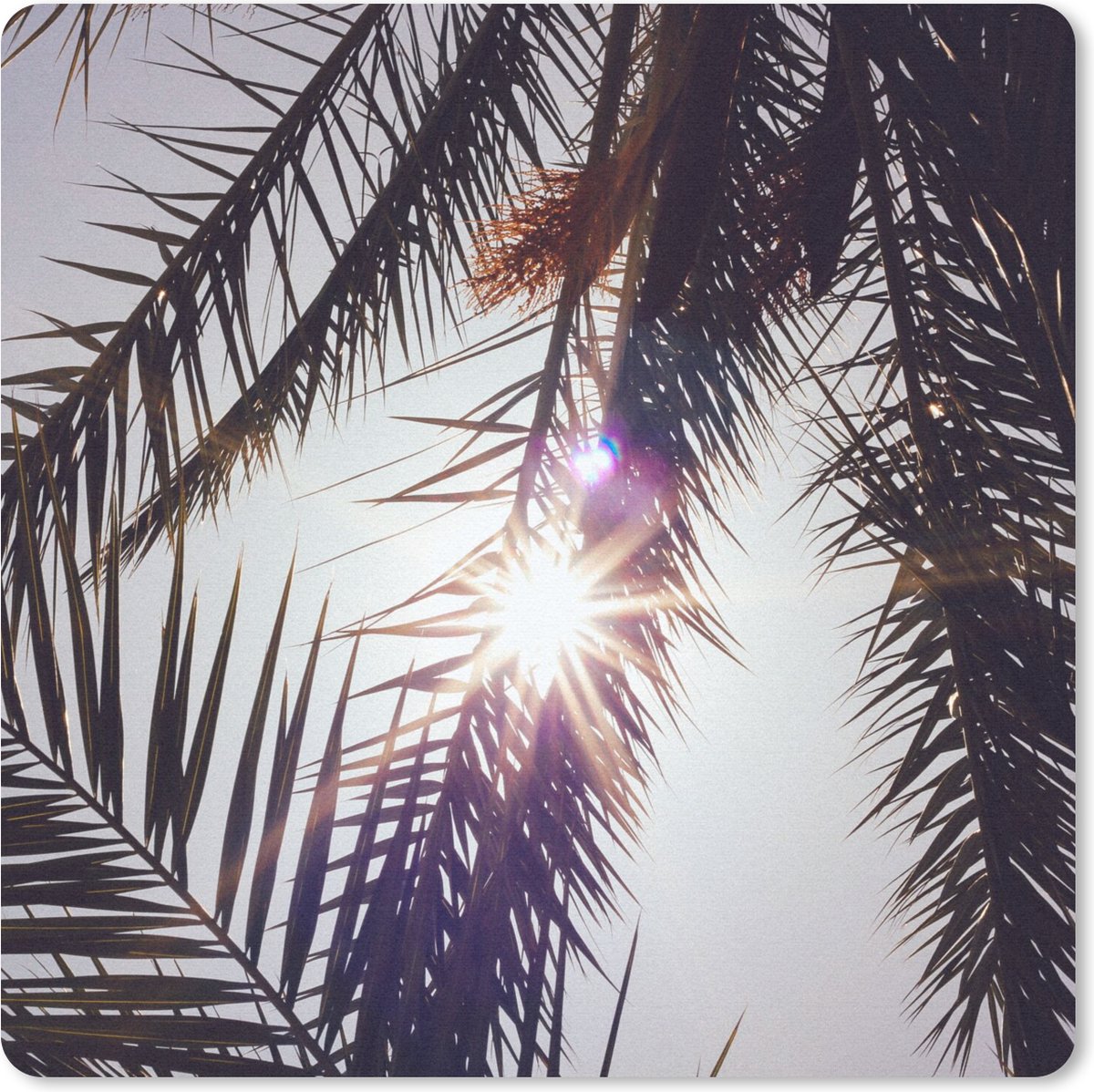 Muismat 30x30 cm - Mousepad Palmbladeren - Zon - Zomer - Muismatten