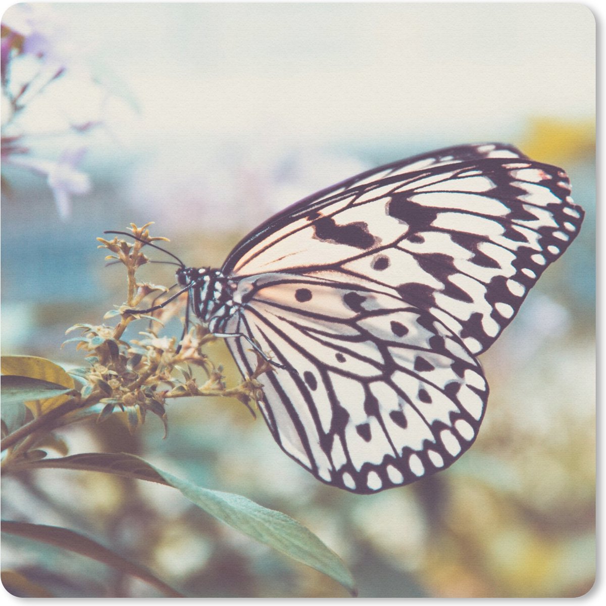 Muismat 30x30 cm - Mousepad Vlinder - Bloemen - Lente - Muismatten