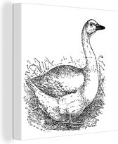 Une illustration d'un canard en toile d'herbe haute 90x90 cm - Tirage photo sur toile (Décoration murale salon / chambre) / Peintures sur toile Animaux de la ferme