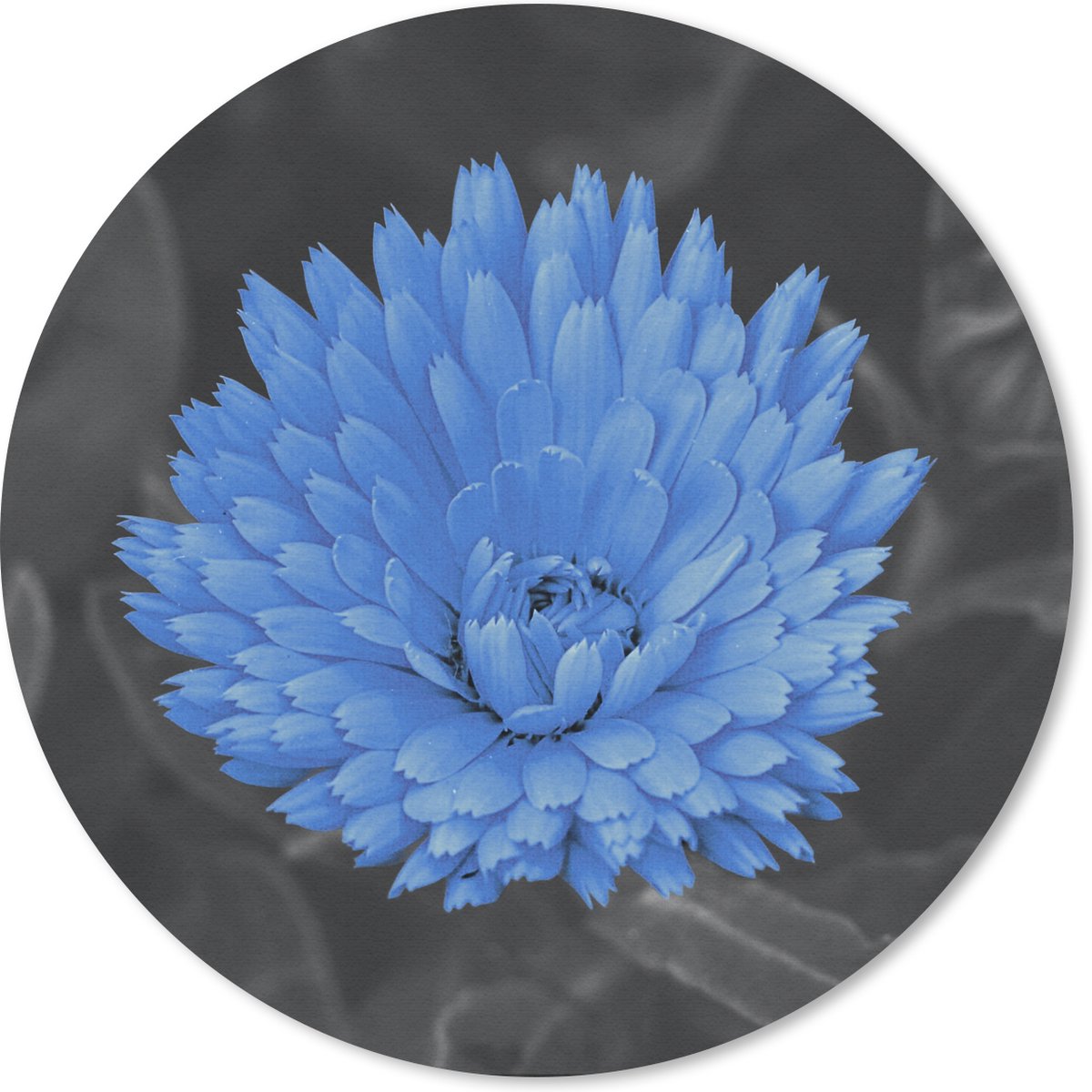 Muismat rond 30x30 cm - Mousepad Bloemen - Zwart - Wit - Blauw - Ronde muismatten