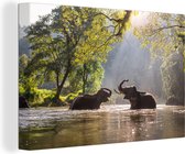 Éléphants jouant au soleil toile 2cm 30x20 cm - petit - Tirage photo sur toile (Décoration murale salon / chambre)