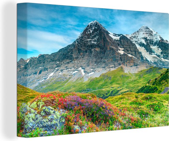Prairie de fleurs dans les Alpes suisses sur toile 120x80 cm - Tirage photo sur toile (Décoration murale salon / chambre)