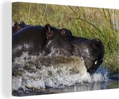 Canvas Schilderij Nijlpaard - Water - Gras - 90x60 cm - Wanddecoratie