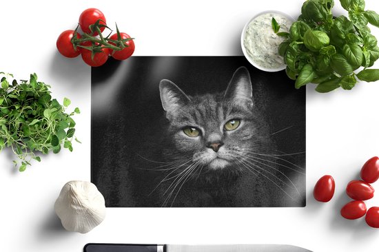 Tulup Image Sur Verre Trempé Tableaux 120x60 - Un Petit Chat Près De La Fenêtre