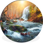 WallCircle - Wall Circle - Wall Circle - Cascade - Soleil - Automne - Aluminium - Dibond - 120x120 cm - Intérieur et Extérieur XXL