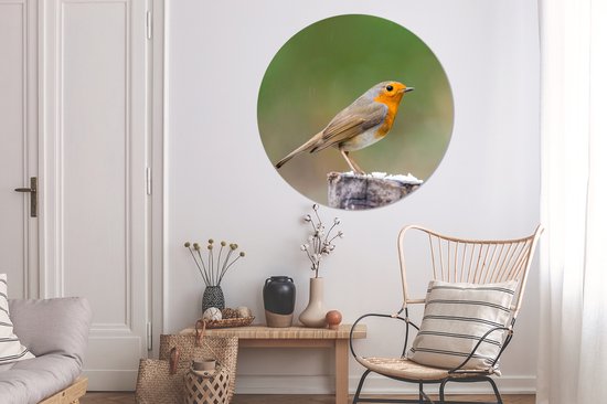 Cercle Mural - Cercle Mural - Animaux - Vogel - Rouge-gorge - Aluminium - Dibond - 140x140 cm - Intérieur et Extérieur