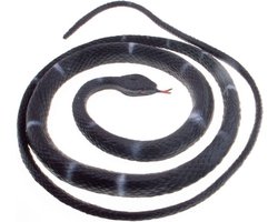Feestdecoratie Slang - Halloween horror enge dieren - rubber - 80 cm - versiering