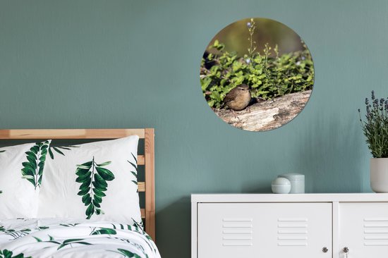 Troglodyte parmi les plantes vertes sur un tronc d'arbre Cercle mural aluminium ⌀ 60 cm - impression photo sur cercle mural / cercle vivant / cercle de jardin (décoration murale)
