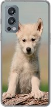Geschikt voor OnePlus Nord 2 5G hoesje - Wolf - Kind - Hout - Siliconen Telefoonhoesje