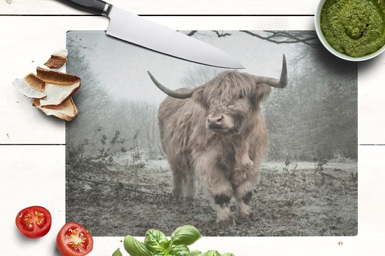 Planche à découper en Verres - 39x28 - Highlander écossais - Forêt - Brouillard - Vache - Animaux - Nature - Planches à découper en Glas
