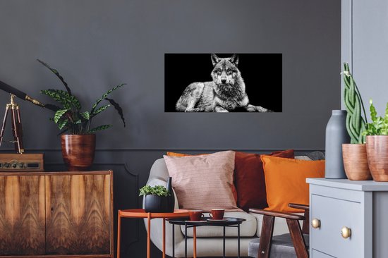 Stickers Stickers muraux - Animaux sauvages - Loup - Zwart - Wit - 80x40 cm - Feuille adhésive