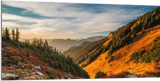 WallClassics - Dibond - North Cascades National Park - 200x100 cm Foto op Aluminium (Wanddecoratie van metaal)