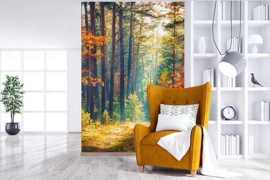 Behang - Fotobehang Bos - Zon - Natuur - Herfst - Breedte 225 cm x hoogte 350 cm