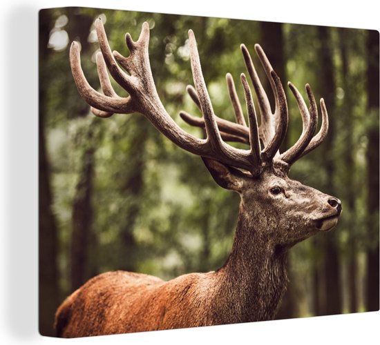 Tableau sur toile 160x120 cm - Décoration murale Cerf - Nature - Bois - Forêt - Animaux - Décoration murale murale salon - Décoration chambre - Accessoires chambre - Peintures