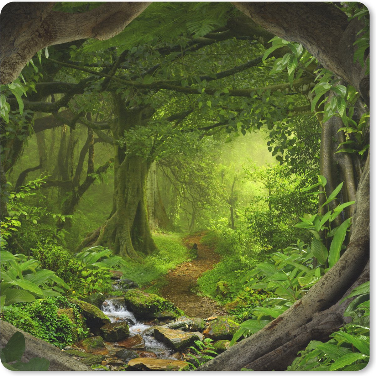 Muismat 30x30 cm - Mousepad Jungle - Groen - Natuur - Tropisch - Planten - Muismatten