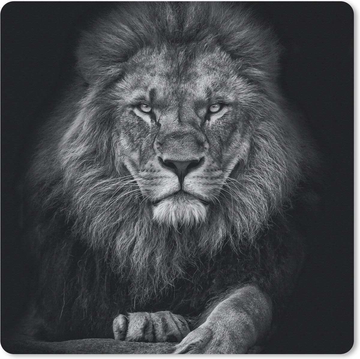 Muismat 20x20 cm - Mousepad Leeuw - Dieren - Zwart - Wit - Muismatten