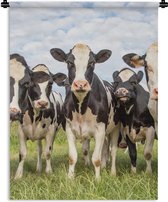 Tapisserie - Toile murale - Vaches - Pâturage - Animaux - Nature - Herbe - 60x80 cm - Tapisserie