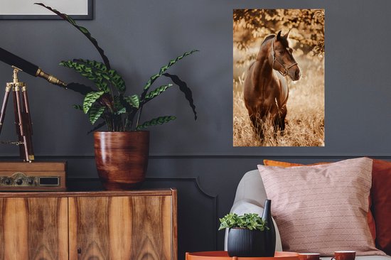 Sticker Muursticker Paarden - Portrait photo cheval dans la nature - 40x60 cm - Film adhésif autocollant - Sticker mural repositionnable