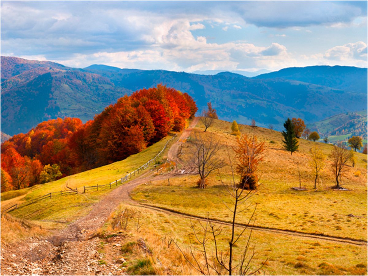 Fotobehang - Herfst landschap in de Karpaten.