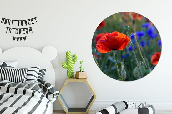 WallCircle - Cercle mural - Cercle mural - Coquelicots colorés aux Nederland - Aluminium - Dibond - 120x120 cm - Intérieur et extérieur XXL