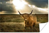 Harige Schotse hooglander met zonnestralen Poster 180x120 cm - Foto print op Poster (wanddecoratie woonkamer / slaapkamer) / Wilde dieren Poster XXL / Groot formaat!