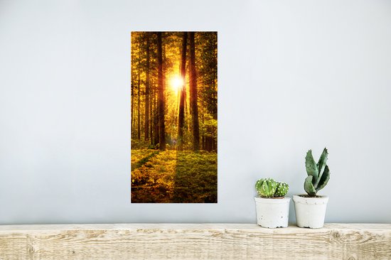 Poster Bos - Zon - Bomen - Natuur - Zonsondergang - 20x40 cm