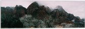 WallClassics - Vlag - Graslandschap bij Bergen - 60x20 cm Foto op Polyester Vlag