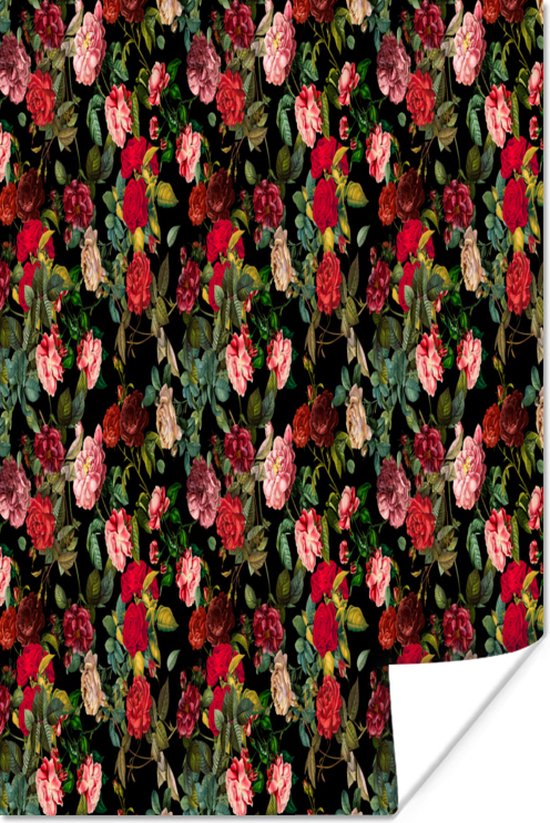 Affiche Fleurs - Roses - Rose - 80x120 cm