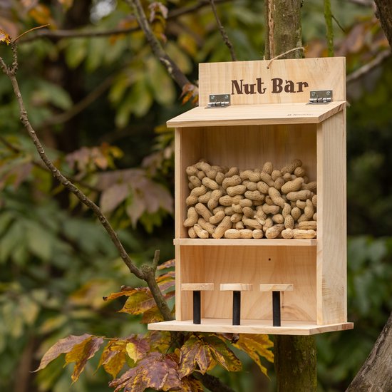 Maison d'écureuil Navaris pour le jardin - Mangeoire résistante aux intempéries - 42 x 28 x 15,5 cm - Maison de nourriture pour écureuil en bois