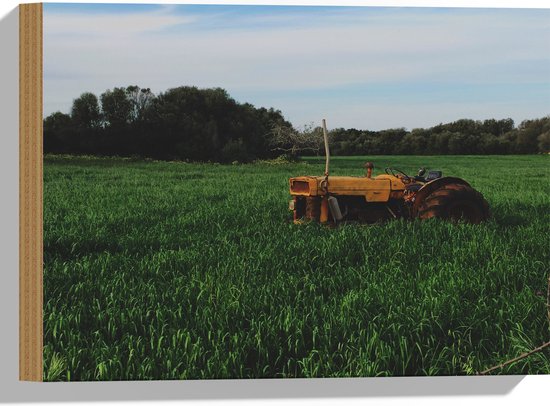 WallClassics - Hout - Gele Trekker in Groen Gras - 40x30 cm - 12 mm dik - Foto op Hout (Met Ophangsysteem)