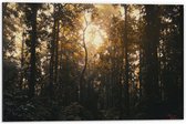 WallClassics - Dibond - Schemer in het Bos - 60x40 cm Foto op Aluminium (Wanddecoratie van metaal)