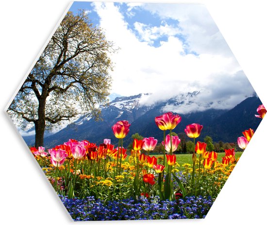 WallClassics - PVC Schuimplaat Hexagon  - Felgekleurde Bloemen in het Veld met Berg en Boom - 30x26.1 cm Foto op Hexagon (Met Ophangsysteem)