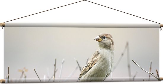 WallClassics - Textielposter - Vogel - Mus op een Tak - 120x40 cm Foto op Textiel