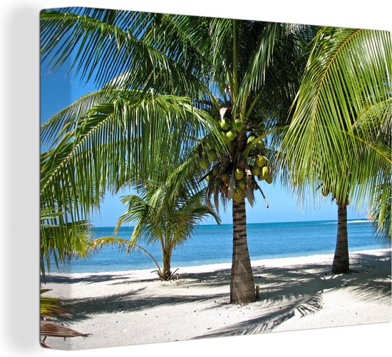 Palmiers et la plage de sable blanc nacré en toile de Glover's Reef 40x30 cm - petit - Tirage photo sur toile (Décoration murale salon / chambre)