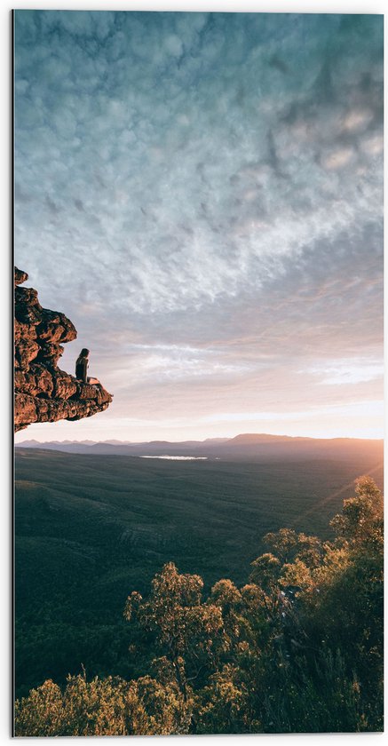 WallClassics - Dibond - Grote Rots hangend over Landschap - 50x100 cm Foto op Aluminium (Met Ophangsysteem)