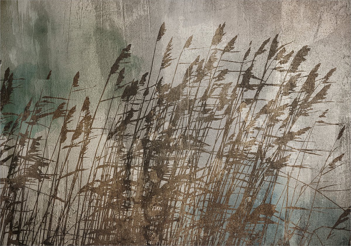 Fotobehang - Water Grasses.