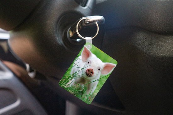 Porte-clés - Cochon - Animaux - Porcelet - Cadeaux à distribuer - Plastique - Cadeaux Sinterklaas - Cadeaux à distribuer pour les enfants - Cadeaux chaussures - Petits cadeaux