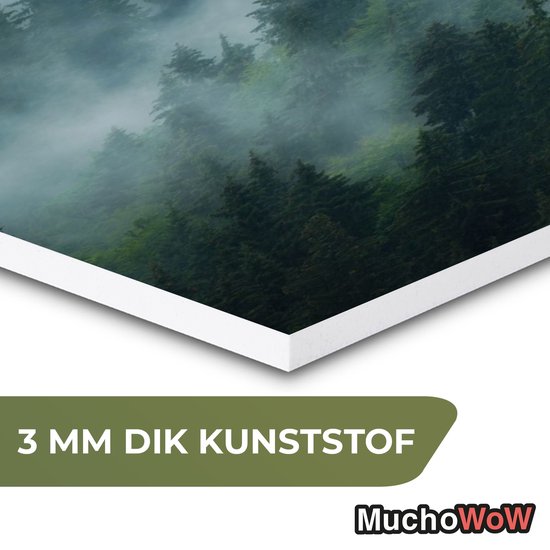 Hexagon wanddecoratie - Kunststof Wanddecoratie - Hexagon Schilderij - Mist - Bomen - Bos - 75x65 cm