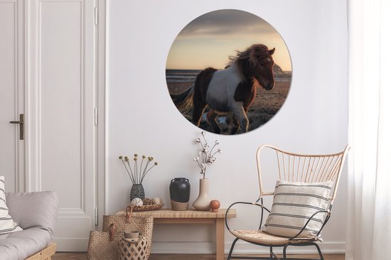 Trot cheval islandais coloré pendant le coucher du soleil Sticker mural cercle mural ⌀ 120 cm / cercle papier peint / cercle mural / cercle vivant - auto-adhésif et coupe ronde