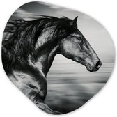 Décoration murale Organique - Décoration murale Plastique - Peinture Organique - Cheval - Animaux - Noir - Wit- 40x40 cm - Forme Miroir Asymétrique sur Plastique