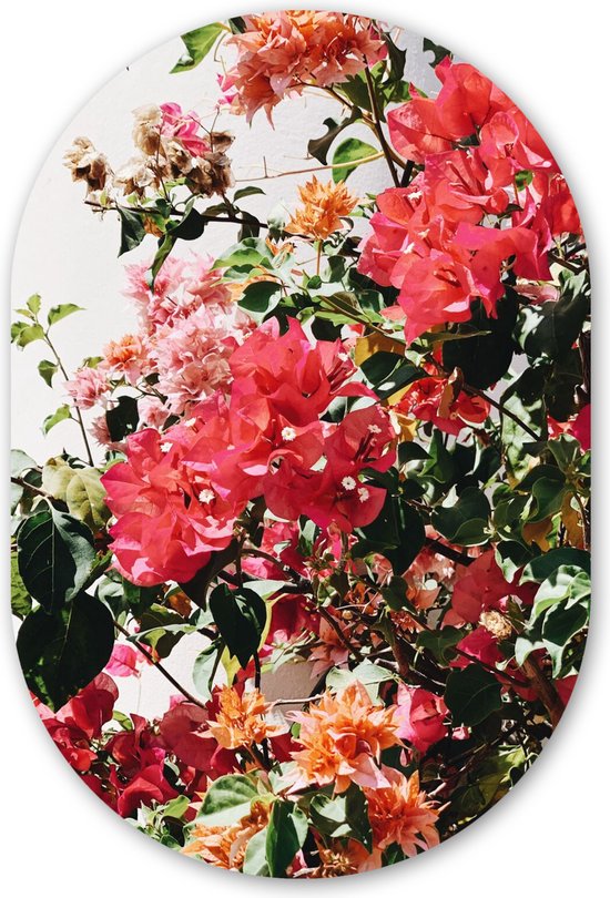 Muurovaal - Kunststof Wanddecoratie - Ovalen Schilderij - Bloemen - Struik - Zomer - Roze - 40x60 cm - Ovale spiegel vorm op kunststof