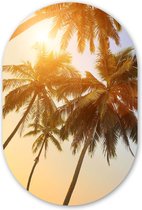 Muurovaal - Kunststof Wanddecoratie - Ovalen Schilderij - Palmboom - Zon - Zomer - Tropical - 60x90 cm - Ovale spiegel vorm op kunststof