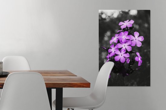 Peintures sur Toile Fleurs - Violet - Zwart - Wit - 40x60 cm - Décoration murale